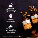 organic-india-turmeric-curcumin-herbal-s-3.jpg