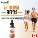 renew-actives-turmeric-liquid-extract-wi-3.jpg