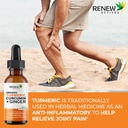 renew-actives-turmeric-liquid-extract-wi-2.jpg
