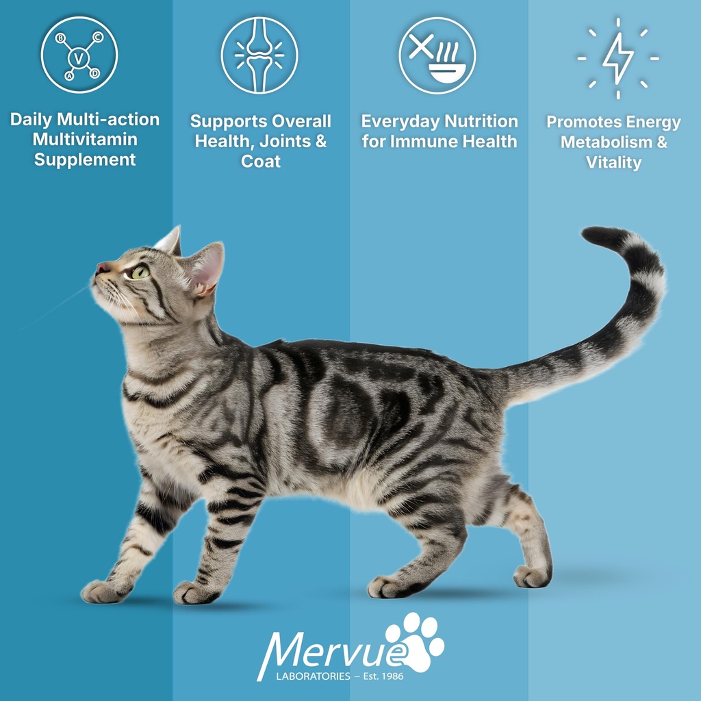 mervue-multivitamin-immune-support-for-c-5.jpg
