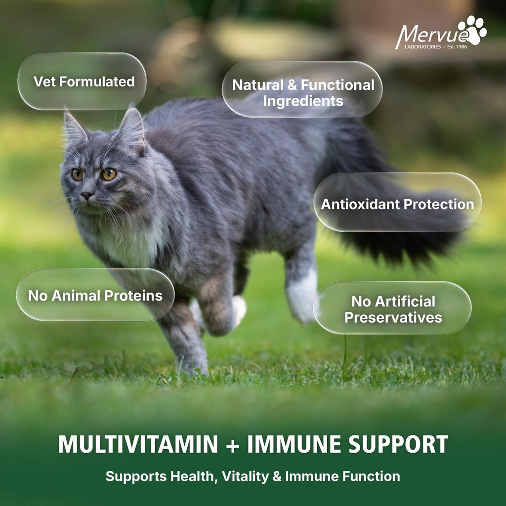 mervue-multivitamin-immune-support-for-c-6.jpg