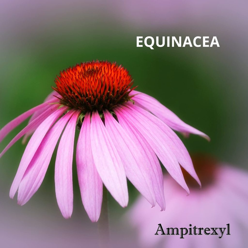ampitrexyl-formula-100-natural-helps-you-5.jpg