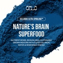 orlo-blue-essence-liquid-blue-spirulina--4.jpg