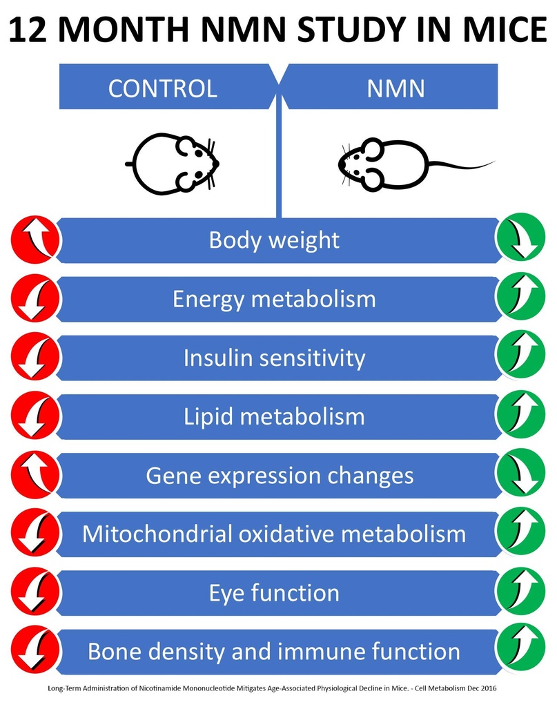maac10-nmn-supplement-real-nicotinamide--3.jpg
