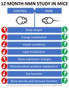 maac10-nmn-supplement-real-nicotinamide--3.jpg