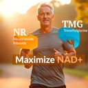 nad-optimal-nad-supplement-500mg-nr-pter-3.jpg