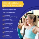 liposomal-nad-supplement-800mg-with-tmg--5.jpg
