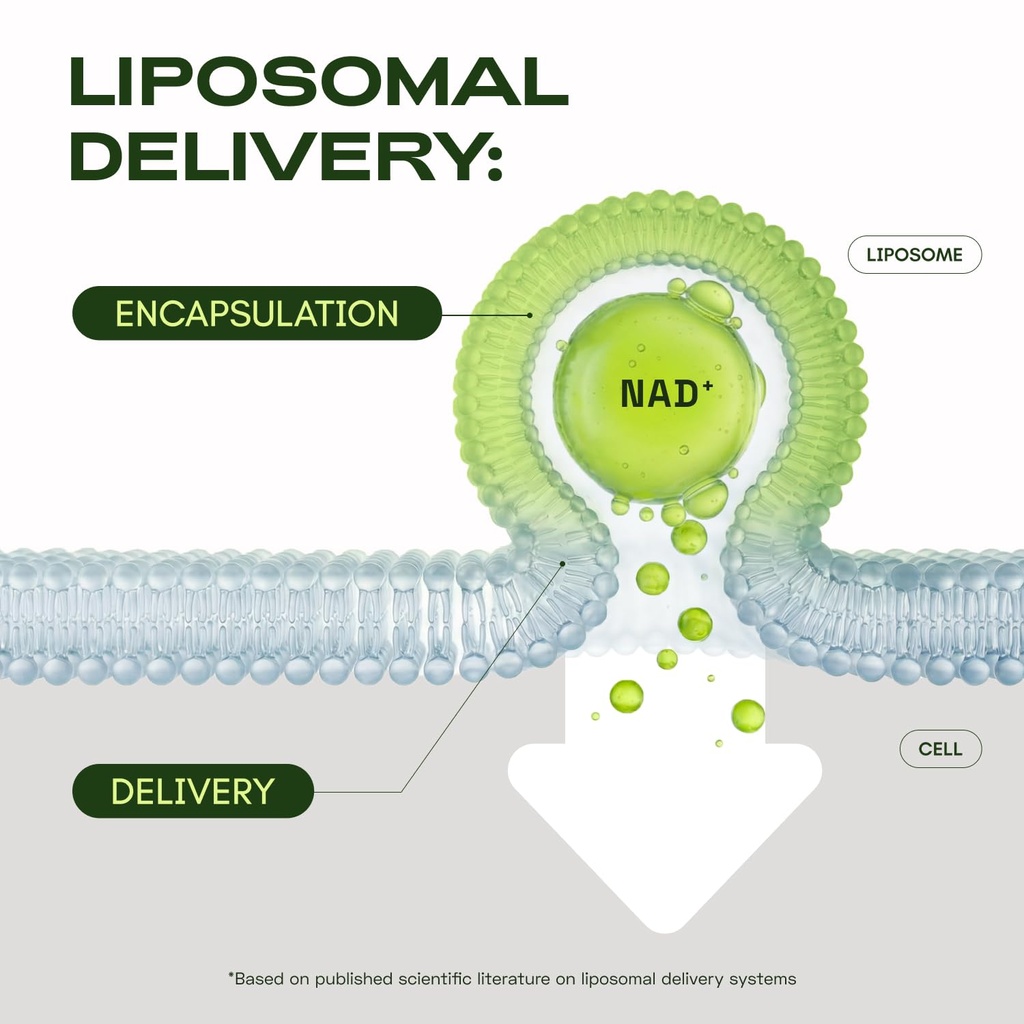 cata-kor-nmn-supplement-alternative-lipo-4.jpg