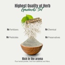 herbsforever-guduchi-sat-powder-tinospor-6.jpg