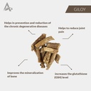 senta-giloy-guduchi-stem-cutting-tinospo-2.jpg