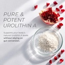 urolithin-a-supplement-gummies-500mg-wit-4.jpg