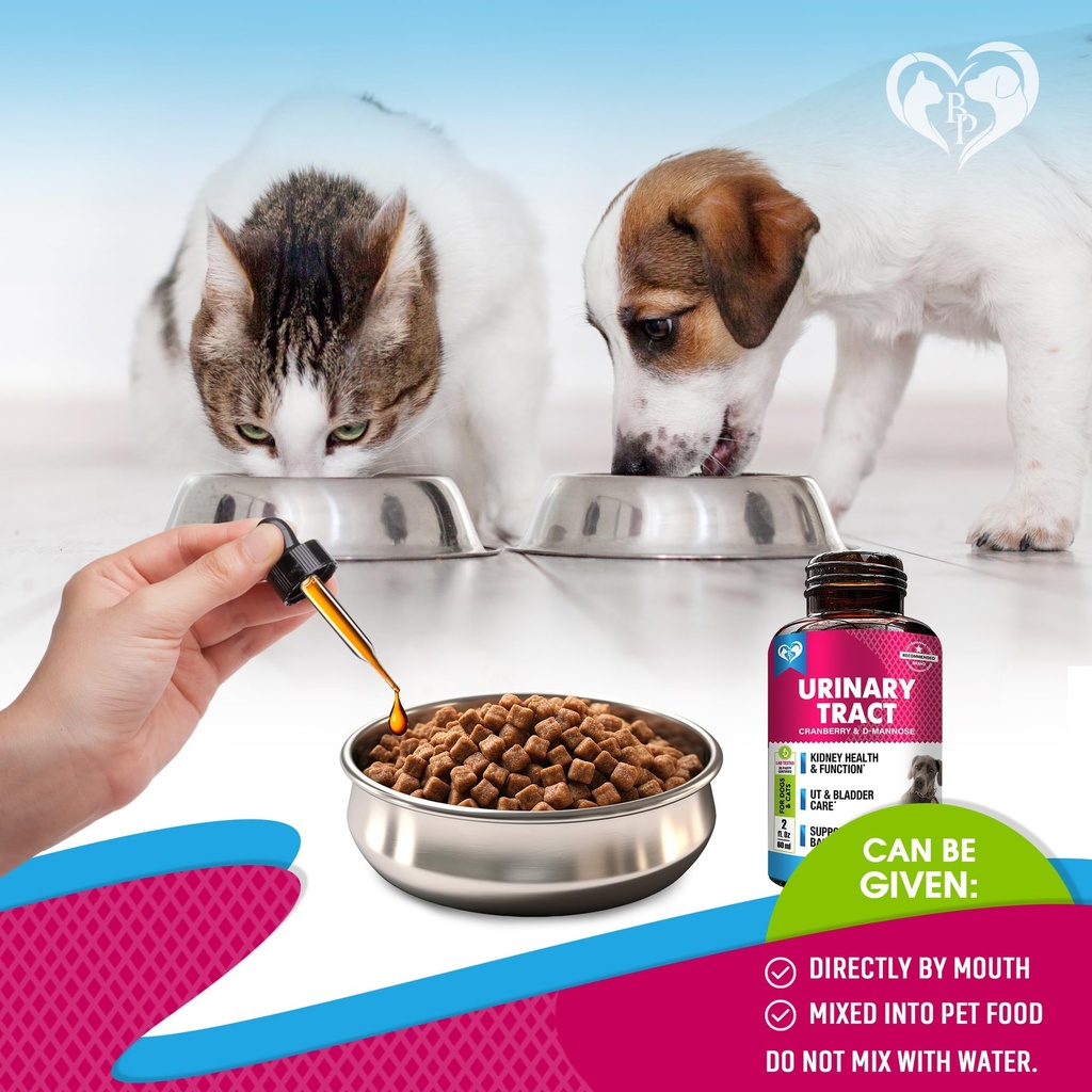 cat-dog-urinary-tract-infection-treatmen-5.jpg