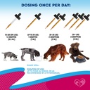 cat-dog-urinary-tract-infection-treatmen-6.jpg