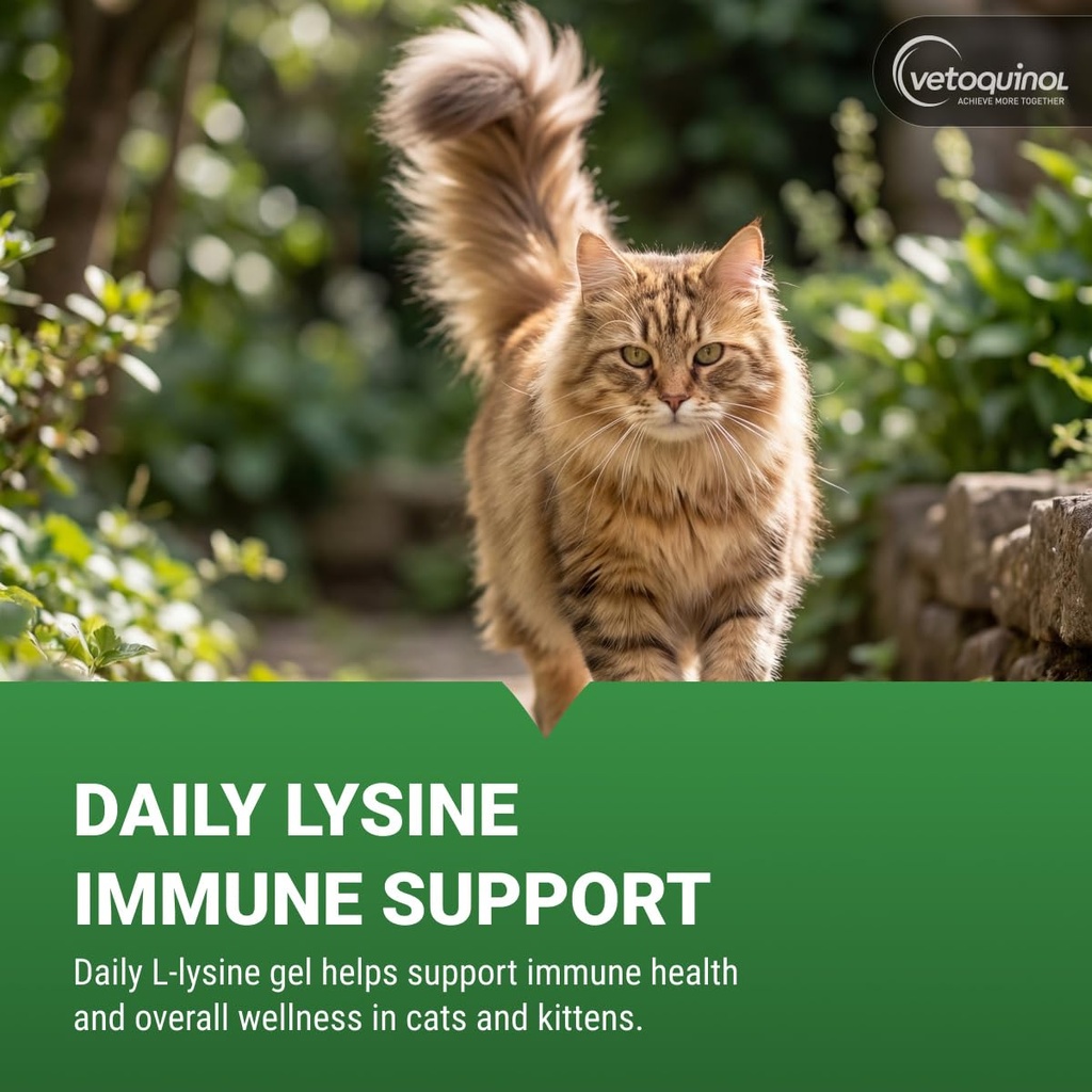 vetoquinol-viralys-lysine-supplement-for-2.jpg