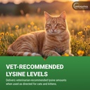 vetoquinol-viralys-lysine-supplement-for-5.jpg