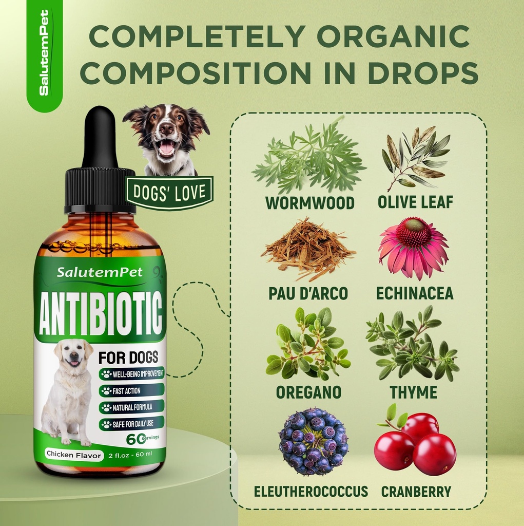 dog-antibiotics-for-infections-cough-itc-3.jpg