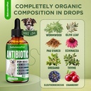 dog-antibiotics-for-infections-cough-itc-3.jpg
