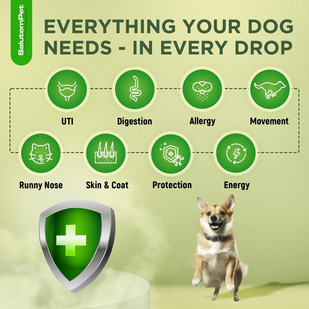 dog-antibiotics-for-infections-cough-itc-2.jpg