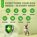 dog-antibiotics-for-infections-cough-itc-2.jpg