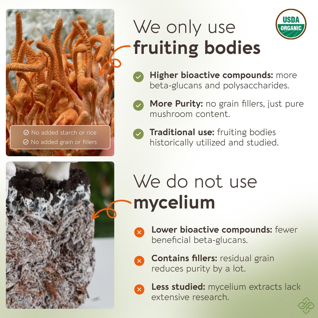 longevity-botanicals-organic-cordyceps-m-5.jpg