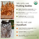 longevity-botanicals-organic-cordyceps-m-5.jpg