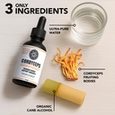 cordyceps-mushroom-extract-liquid-1-oz-m-4.jpg