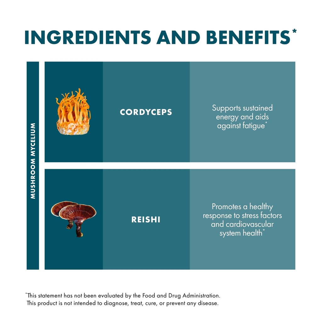 host-defense-cordychi-extract-energy-imm-6.jpg