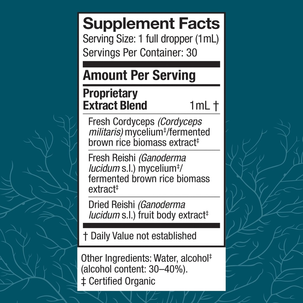 host-defense-cordychi-extract-energy-imm-2.jpg