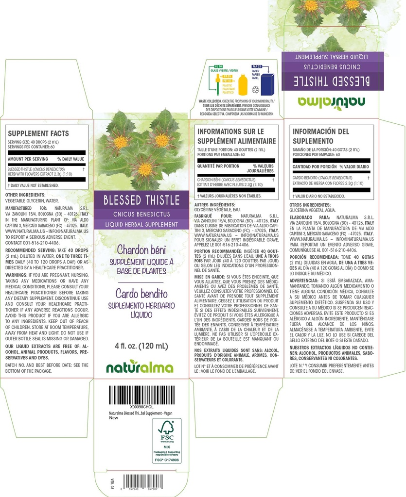 naturalma-blessed-thistle-or-holy-thistl-2.jpg