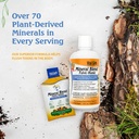 vital-earth-minerals-detox-wellness-supp-6.jpg