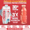 musclemeds-carnivor-protein-hydration-rt-4.jpg