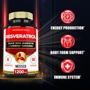 mecisco-trans-resveratrol-supplement-wit-3.jpg