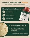 zinc-picolinate-30mg-highly-absorbable-z-4.jpg