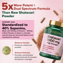 vahdam-shatavari-capsules-1000mg-support-2.jpg