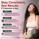 vahdam-shatavari-capsules-1000mg-support-4.jpg