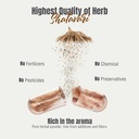herbsforever-shatavari-asparagus-racemos-6.jpg