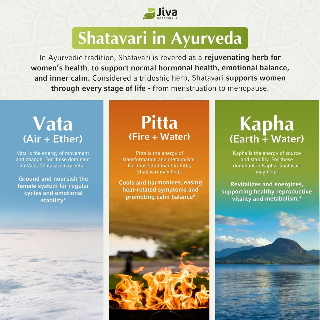 jiva-botanicals-shatavari-capsules-for-w-6.jpg