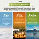 jiva-botanicals-shatavari-capsules-for-w-6.jpg