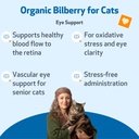 pet-wellbeing-bilberry-for-cats-eye-visi-2.jpg