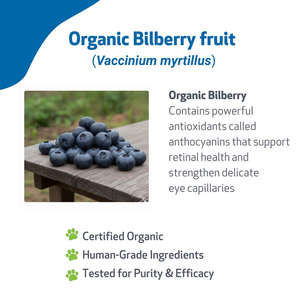 pet-wellbeing-bilberry-for-cats-eye-visi-3.jpg