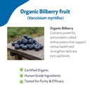 pet-wellbeing-bilberry-for-cats-eye-visi-3.jpg