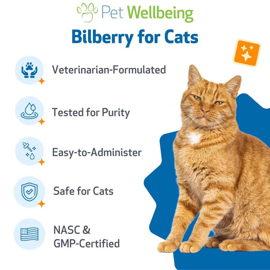 pet-wellbeing-bilberry-for-cats-eye-visi-5.jpg