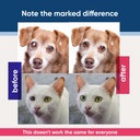eyemycin-pet-eye-drops-1-fl-oz-eye-drops-5.jpg