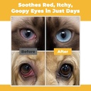 pet-eye-health-for-dogs-cats-cattle-shee-3.jpg