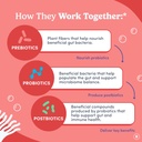 first-day-women-s-good-gut-tribiotic-gum-4.jpg