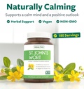 black-seed-oil-st-john-s-wort-3-month-su-5.jpg