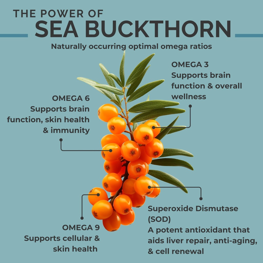 seabuckwonders-organic-sea-buckthorn-see-3.jpg