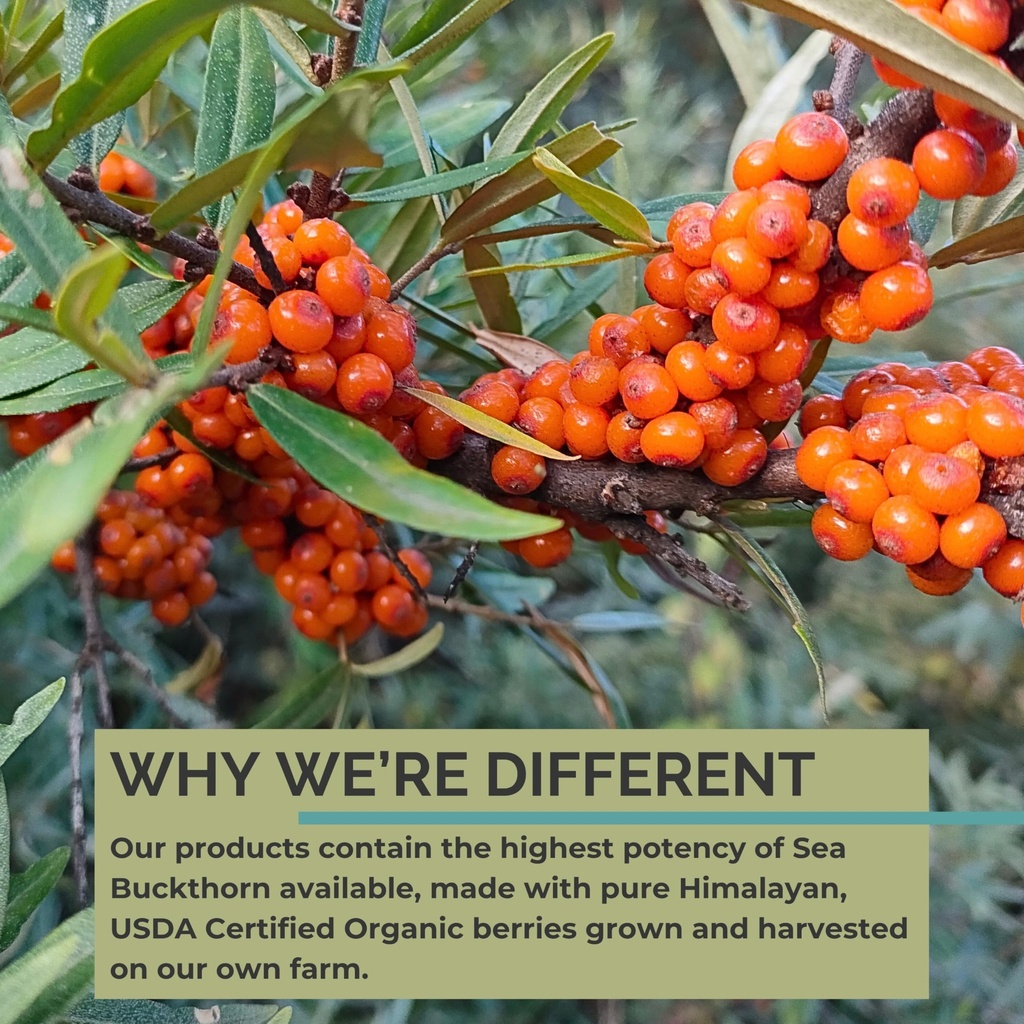 seabuckwonders-organic-sea-buckthorn-see-5.jpg