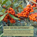 seabuckwonders-organic-sea-buckthorn-see-5.jpg