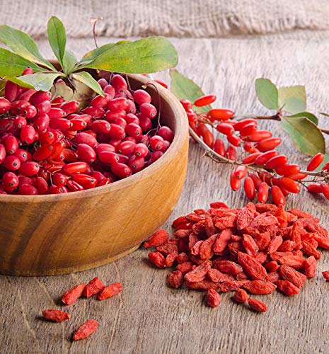 antioxidant-supplement-goji-berry-comple-3.jpg